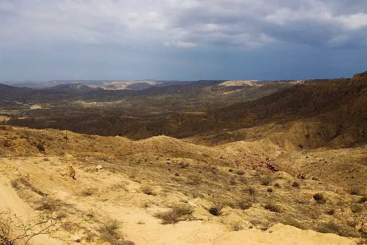 Zona desértica de Los Órganos en Perú. | Foto: Cortesía.