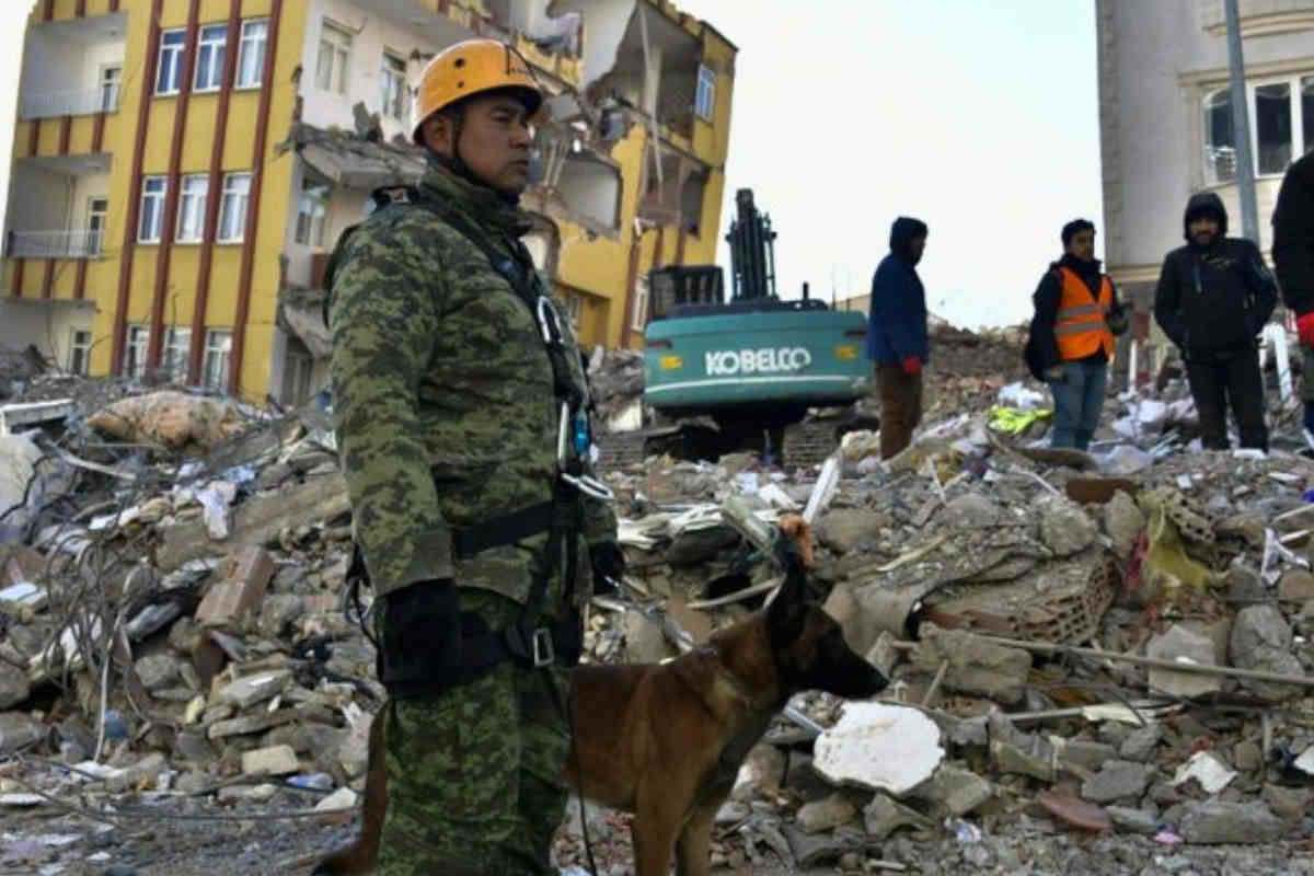 En total se envió a 150 rescatistas mexicanos a Turquía tras el terremoto. | Foto: Cortesía.