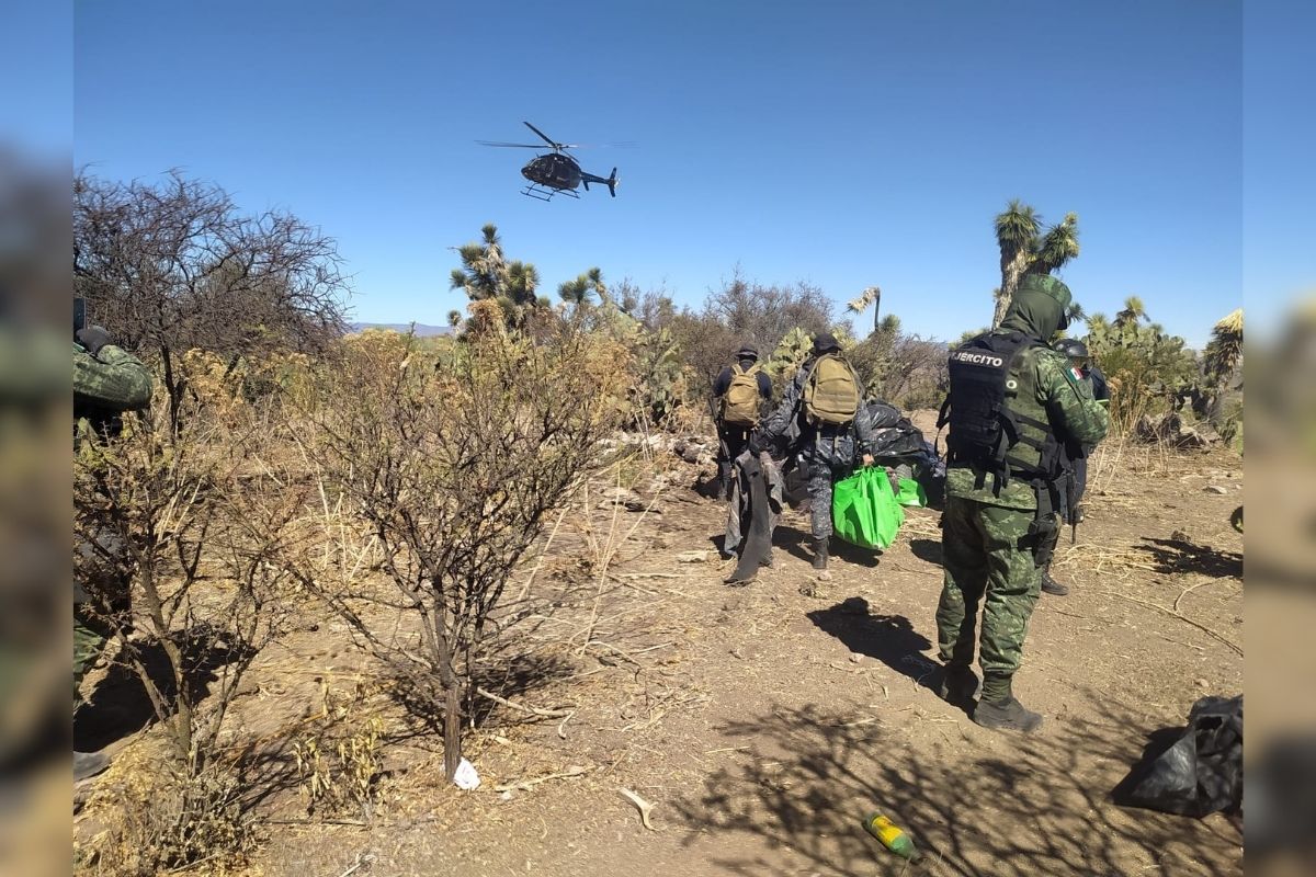 La Fuerza de Reacción Inmediata (FRIZ) de la Policía Estatal Preventiva; en coordinación con Personal Militar y Guardia Nacional, ubicaron y desmantelaron un campamento utilizado por un grupo delincuencial.
