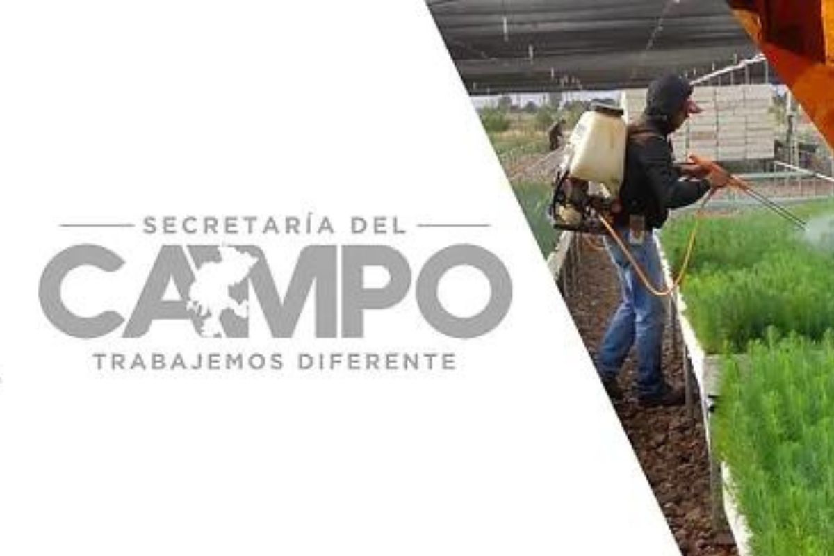 La Secampo tiene aperturados varios programas a los que se pueden acceder mediante  ventanillas, y en los 58 municipios de Zacatecas.