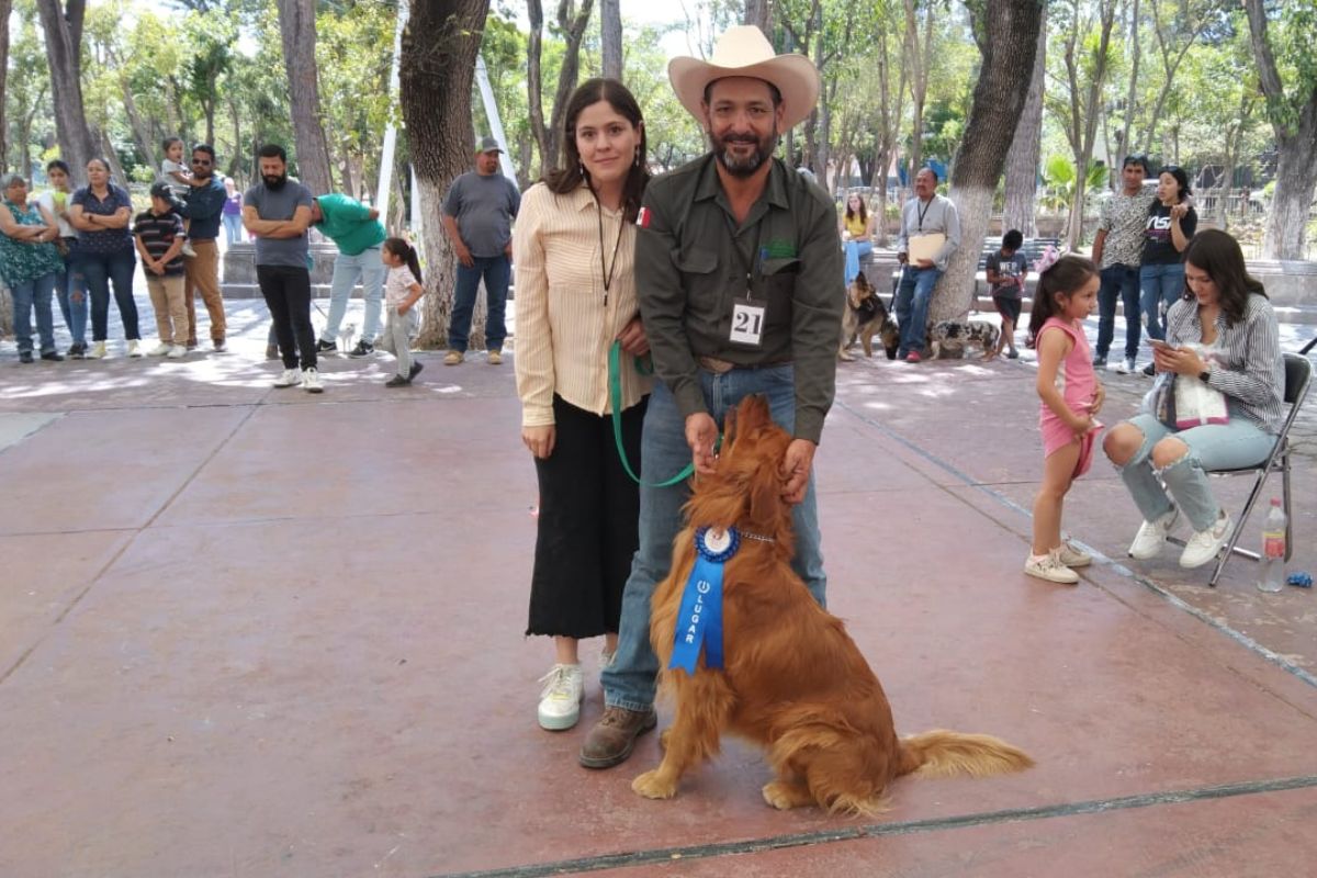 Como parte del Festival Jerez Cultura y Tradición; se llevó a cabo la exposición canina en la que participaron ejemplares caninos de distintos puntos del estado. | Foto: Silvia Vanegas