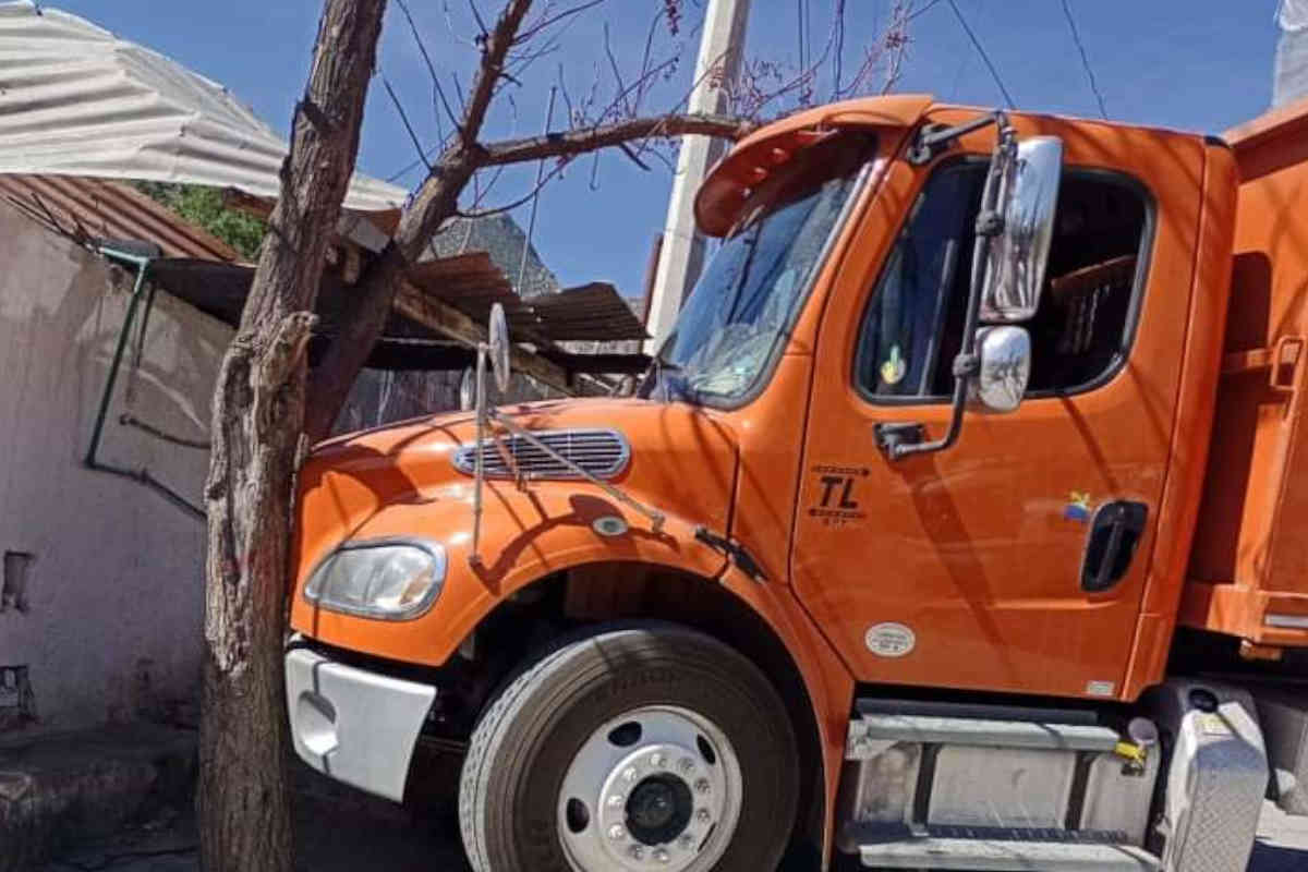 Camión choca contra un árbol | Foto: Cortesía.
