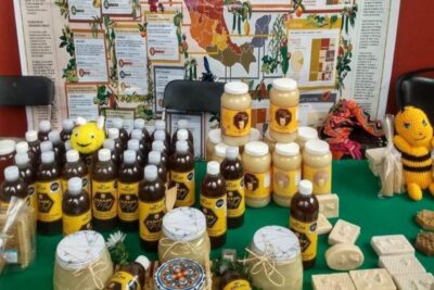 El pasado 19 y 20 de agosto, un grupo destacado de apicultores jerezanos tomó parte en la primera edición de la Expo Feria Abejas, celebrada en la capital del estado, Zacatecas.