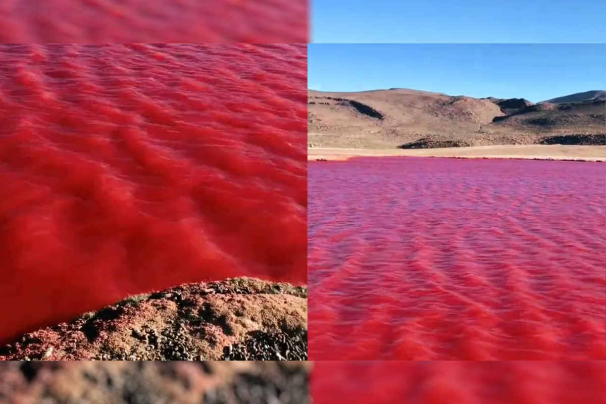 Río Nilo Se Tiñe De Rojo