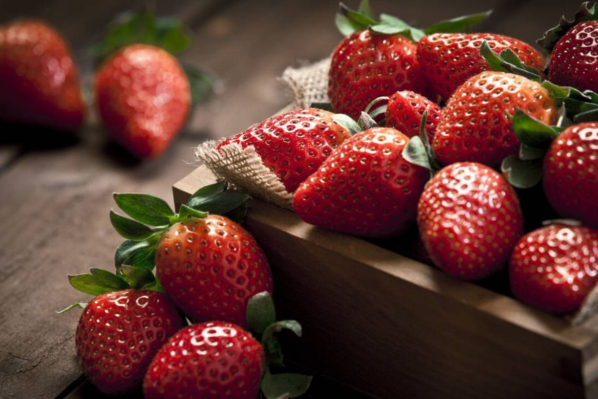 Beneficios de las fresas. | Foto: Cortesía.