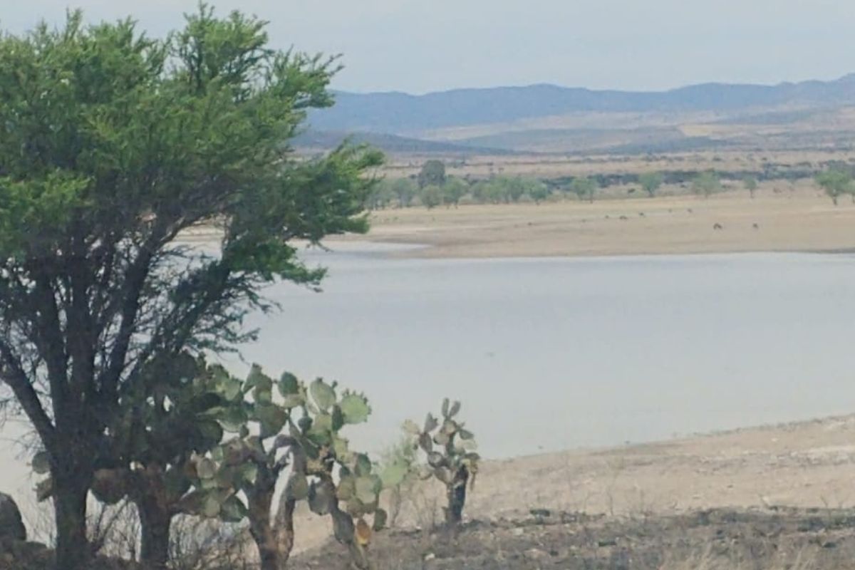 Dos presas de Jerez logran incrementar su volumen de agua: José Alberto Murillo