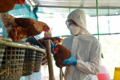 Una mujer murió al contagiarse de Gripe Aviar en China