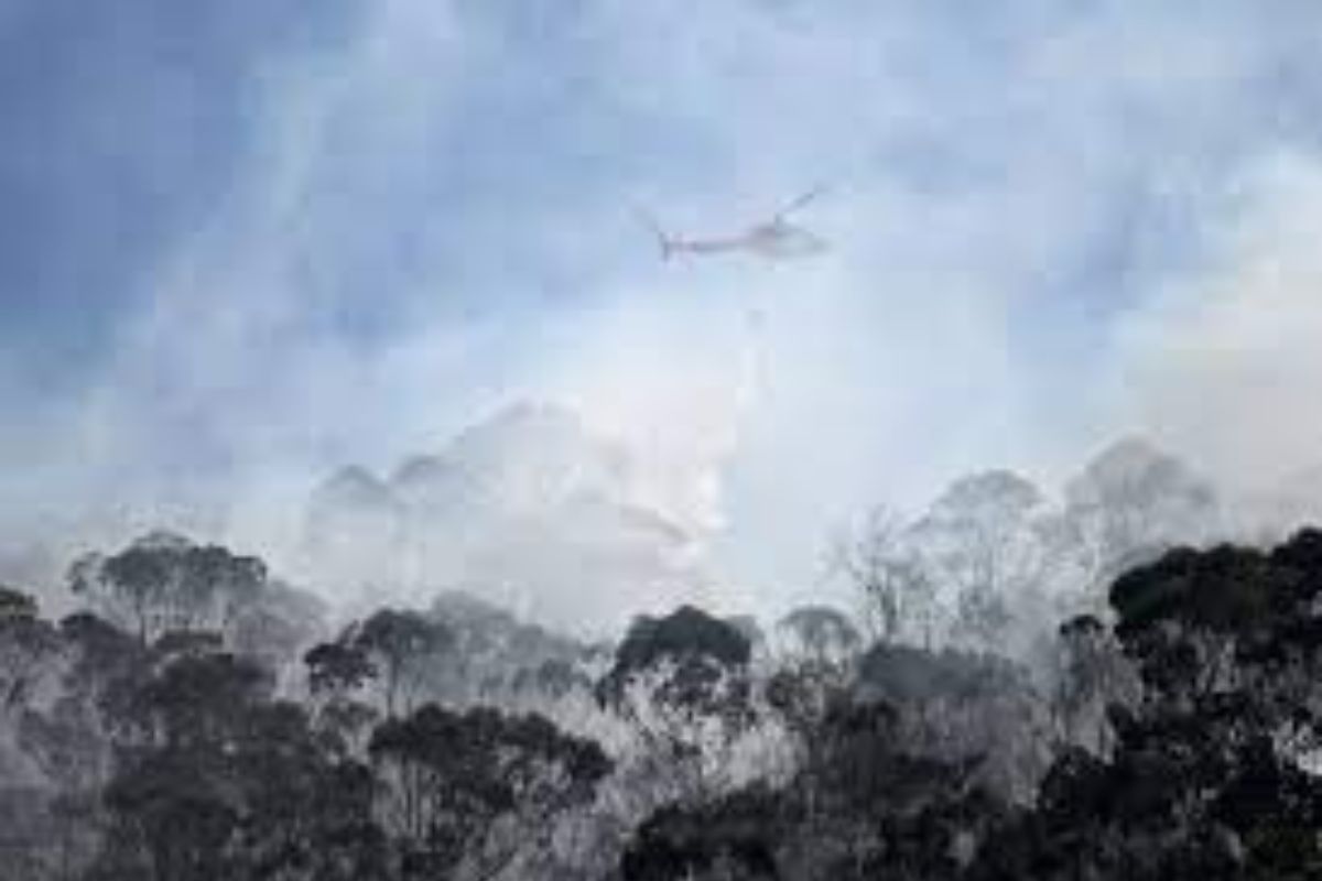 Desde el lunes, cuatro focos de incendios a arrasado la cadena montañosa que limita la ciudad de unos 8 millones de habitantes hacia el este.