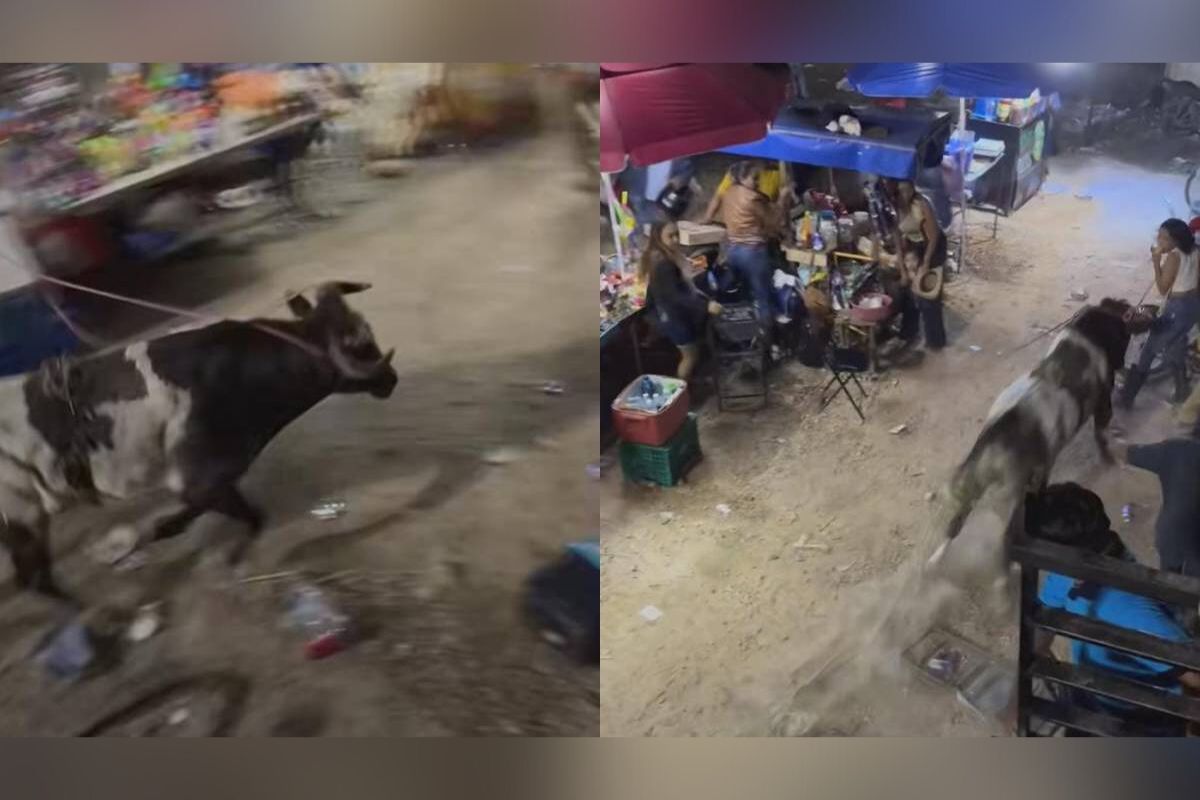 En redes sociales se difundió un video donde se observa el momento en el que un toro de lidia escapa del ruedo y causa destrozos a su paso.