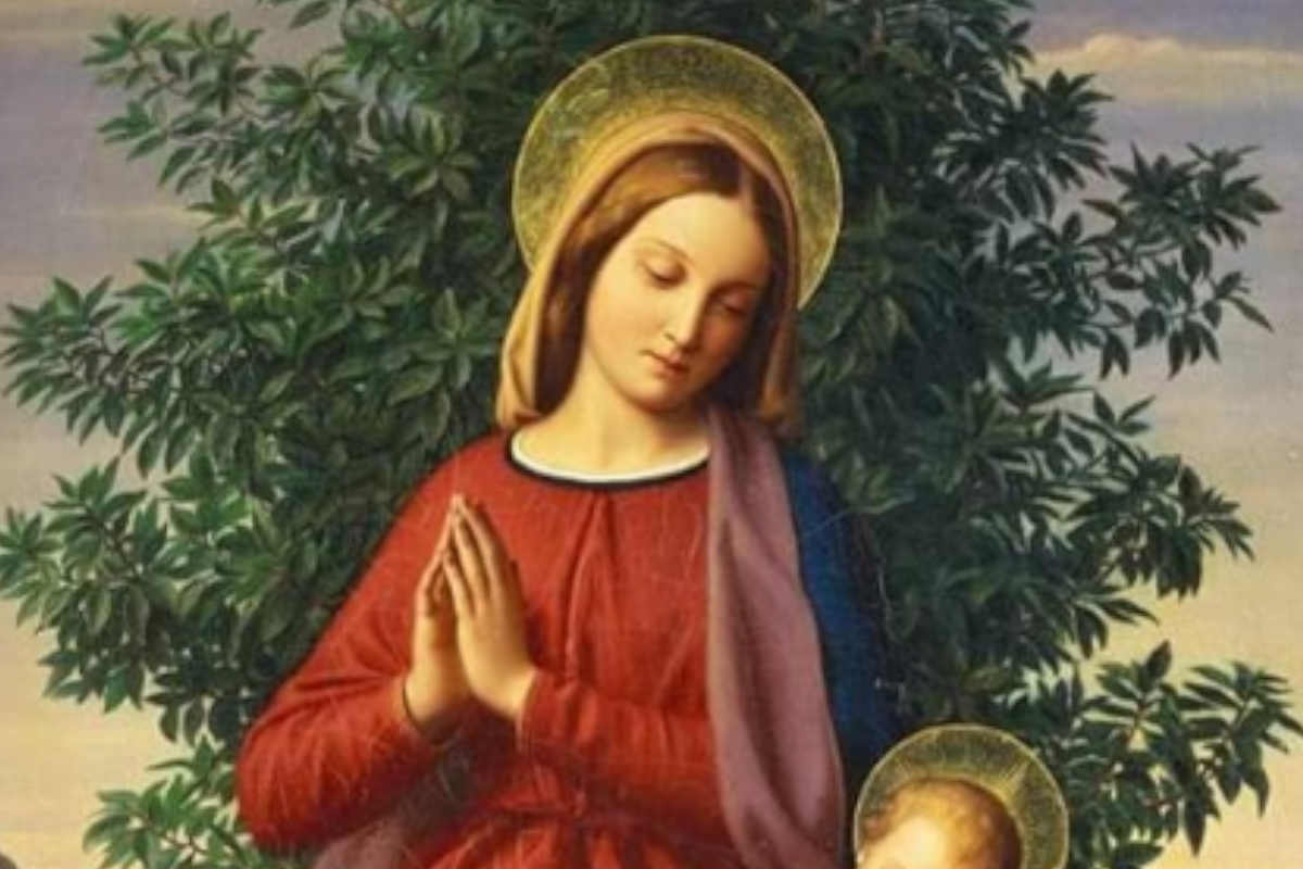 Solemnidad de Santa María, Madre de Dios.
