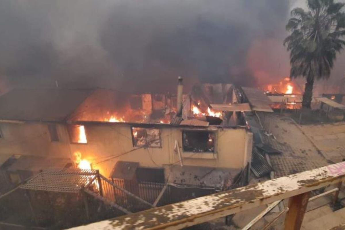 Carolina Tohá informó que al menos 19 personas murieron en un solo sector de Viña del Mar; a causa de los incendios forestales.