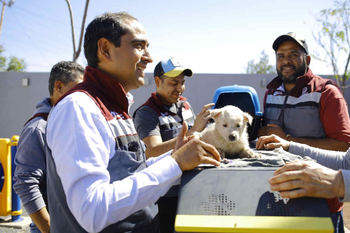 Centro de Bienestar Animal Guadalupe Pepe Saldívar invita a una adopción responsable