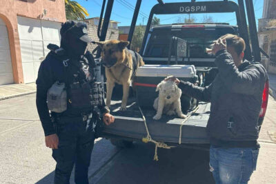 Trabaja la policía en Jerez y la asociación Dejando Huella en el rescate de perros