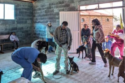 Continúan las acciones de concientización del cuidado animal en Jerez