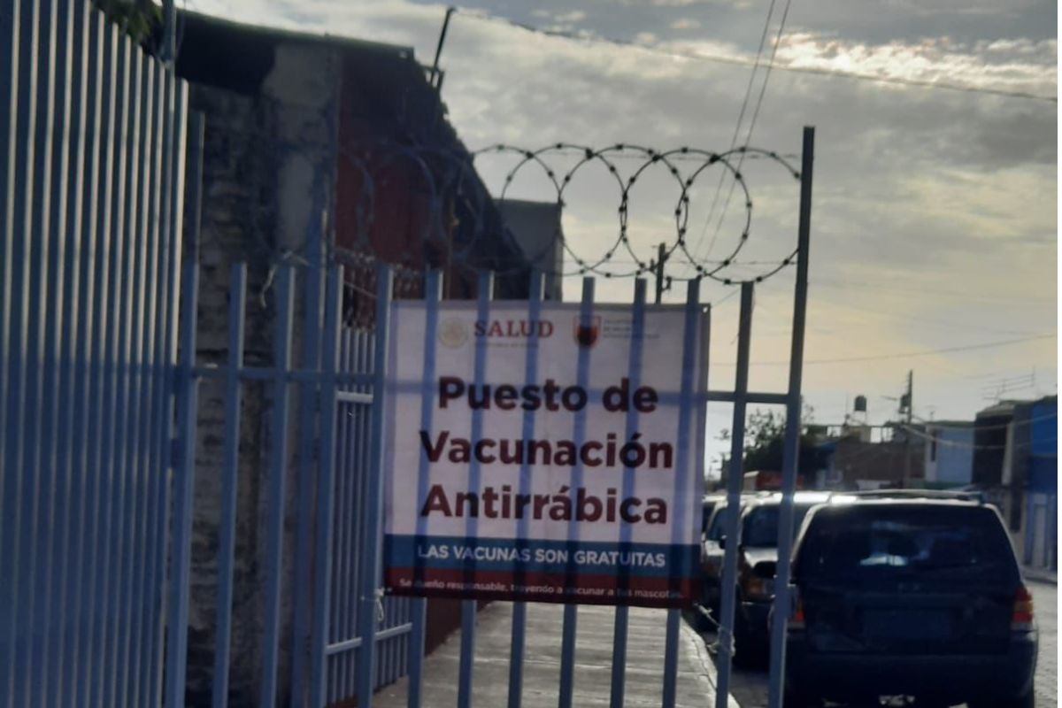 Inicia jornada de vacunación antirrábica en Fresnillo ¿Cuándo termina
