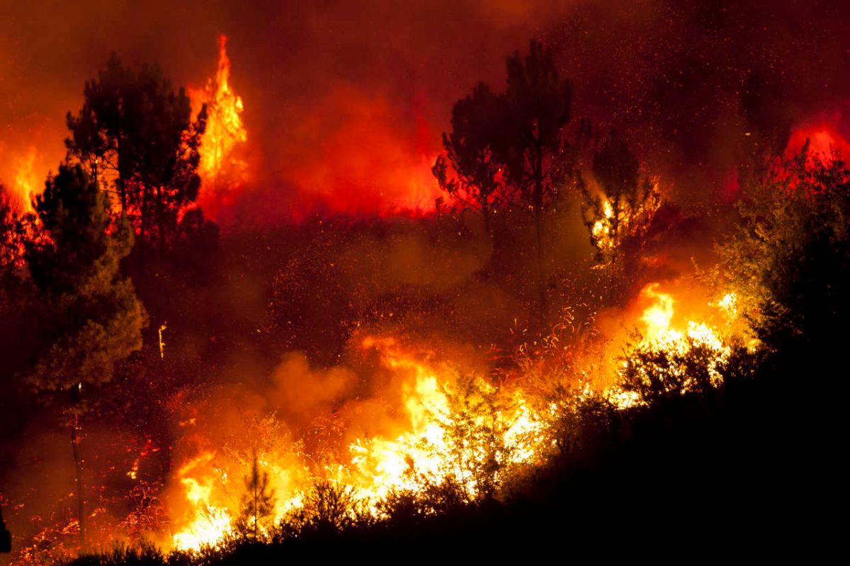 El presidente de México, Andrés Manuel López Obrador, informó sobre los incendios forestales que aún siguen activos en el país.