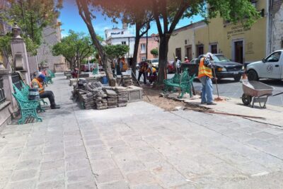 Jardín Hidalgo de Jerez requiere un sistema de riego adecuado para su rehabilitación