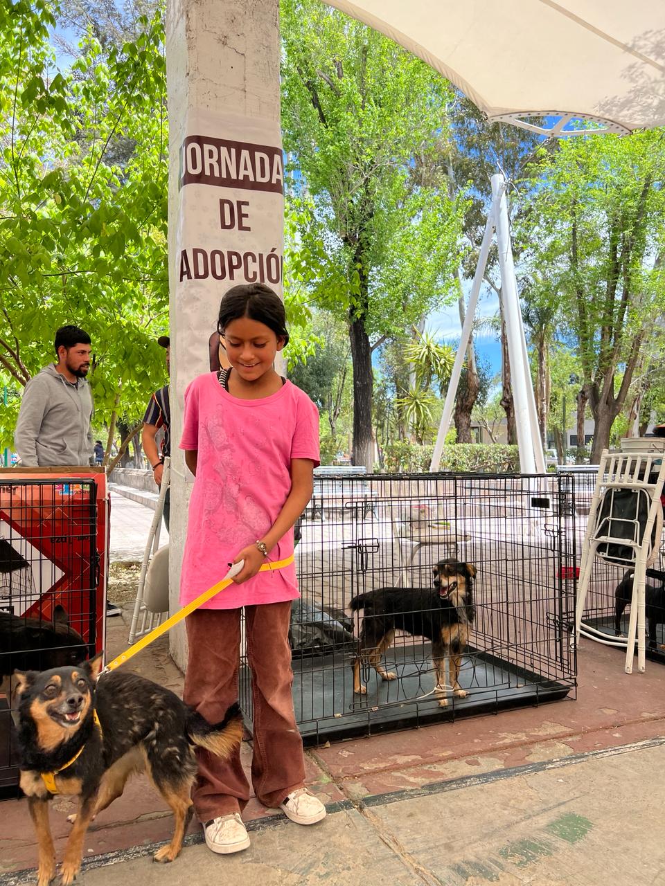 Buscan grupos de protección animal realizar más actividades de adopción en Jerez