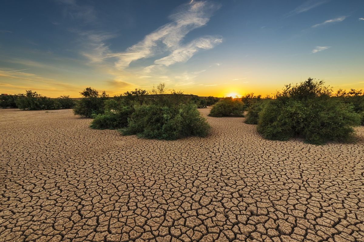 Aumento de sequía en México por la primer onda de calor