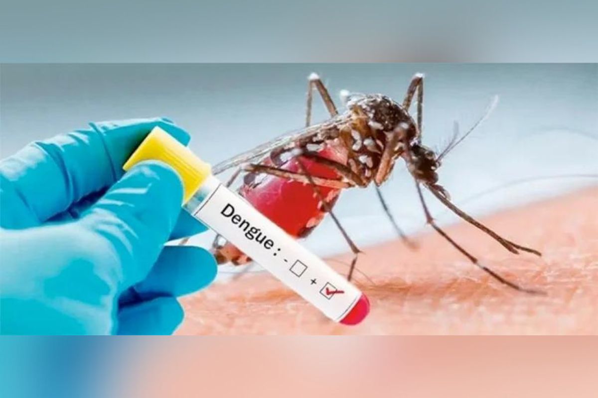 El estado de Guerrero tiene el primer lugar en casos de dengue a nivel nacional; con 2,972 casos comprobados y 13,872 casos probables.