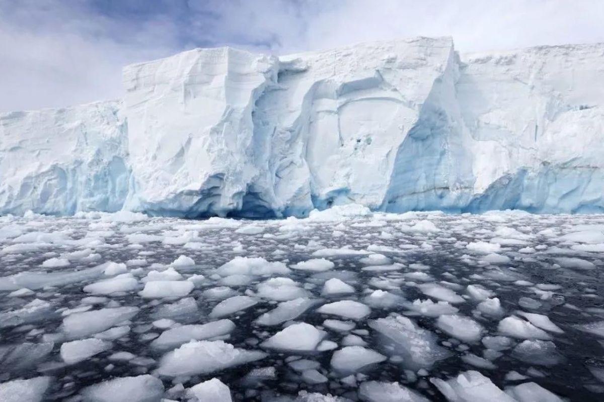 Hace algunos días científicos revelaron que, en 2023, la Antártida sorprendió a todos con bajos niveles récord de hielo marino.