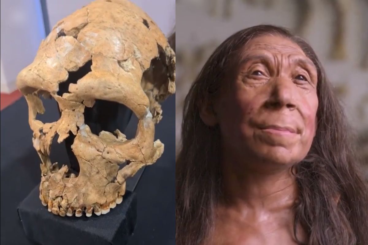 Reconstruyen el rostro de una mujer neandertal de 75 mil años