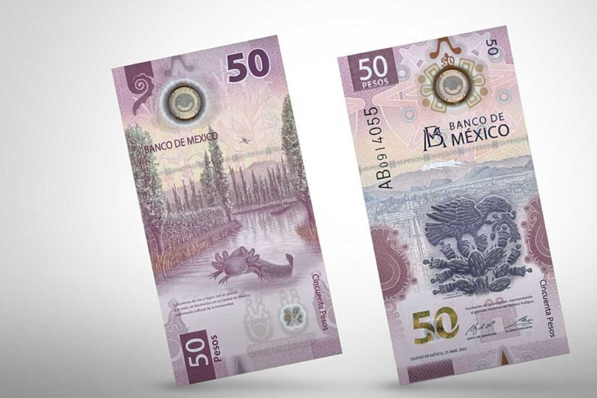 Banxico destaca nuevas características de seguridad en los Billetes de 50 pesos; ¿Cuáles son?