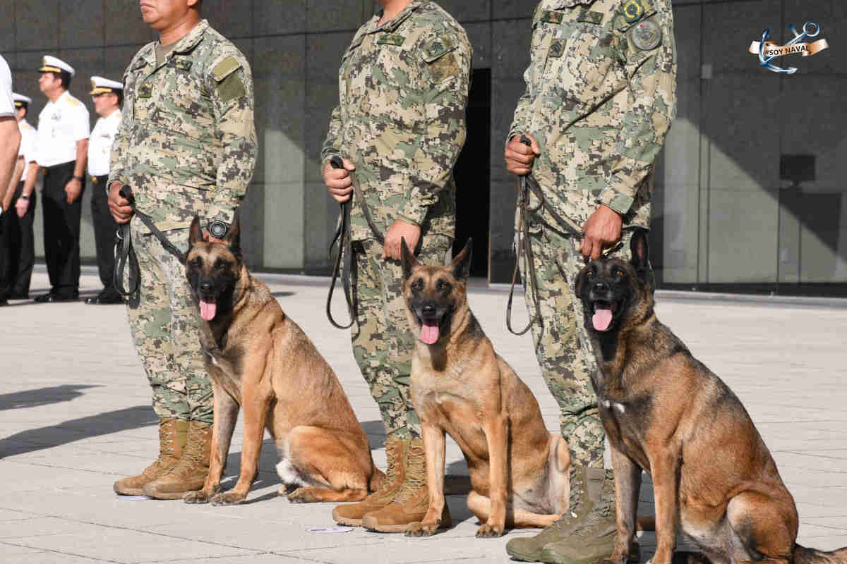Marina jubila a perros militares en una importante ceremonia de honor